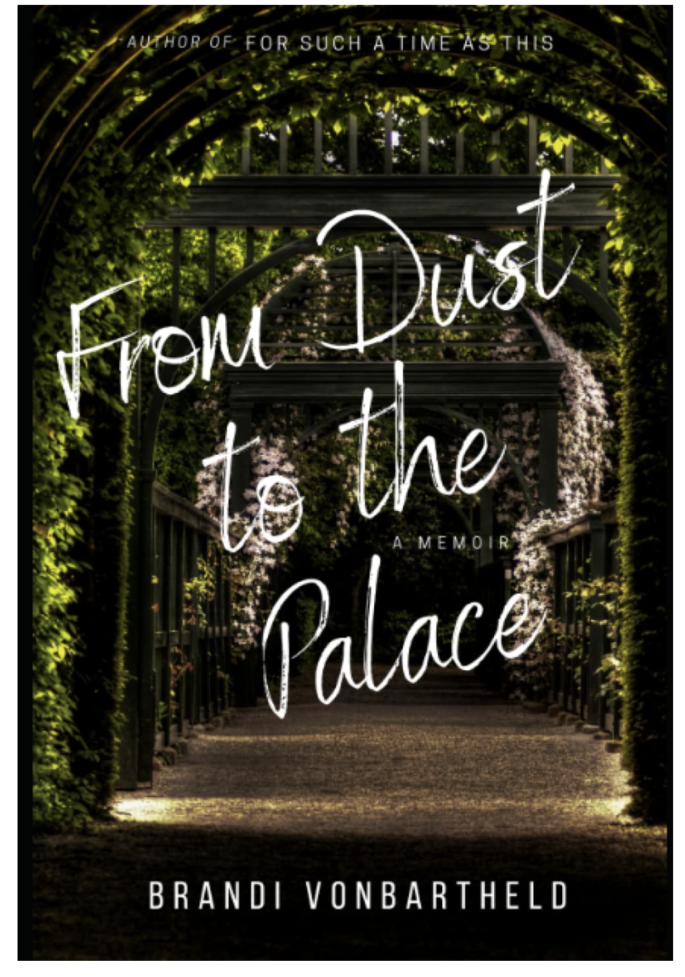 From Dust to the Palace memoir cover by Brandi VonBartheld